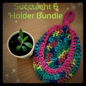 ●LIVE Succulents 3" (Buy 3 GET 1 FREE)